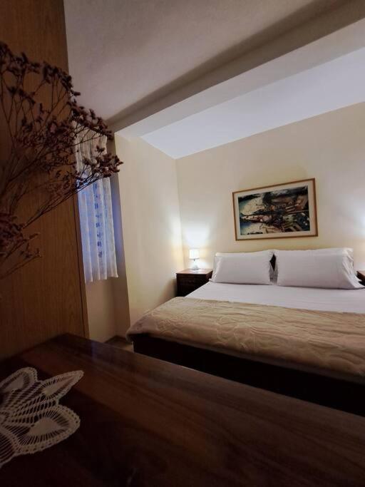 Quiet, Cozy, Luminous Apartment