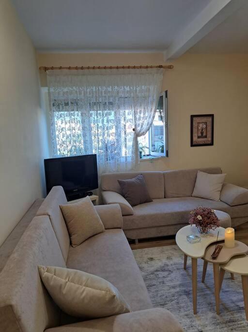 Quiet, Cozy, Luminous Apartment