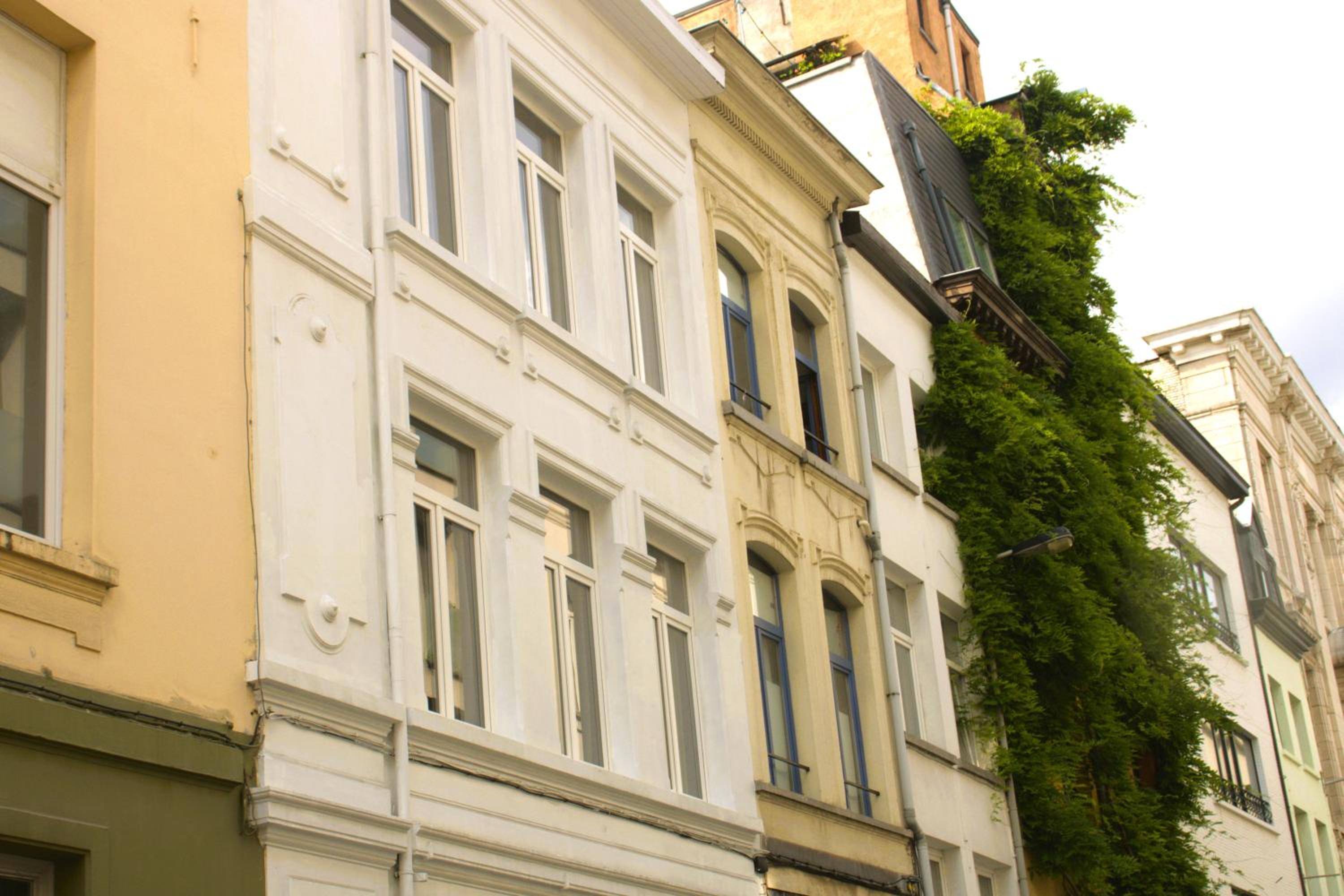 Antwerp White House