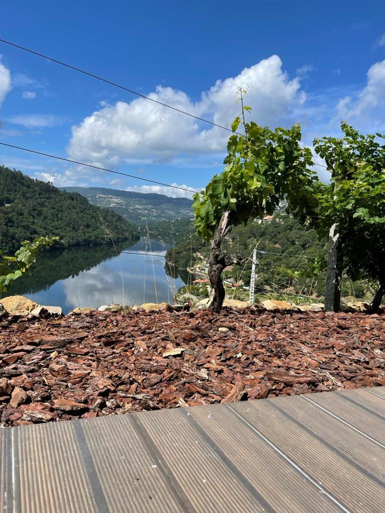 Quinta Vale do Cabo