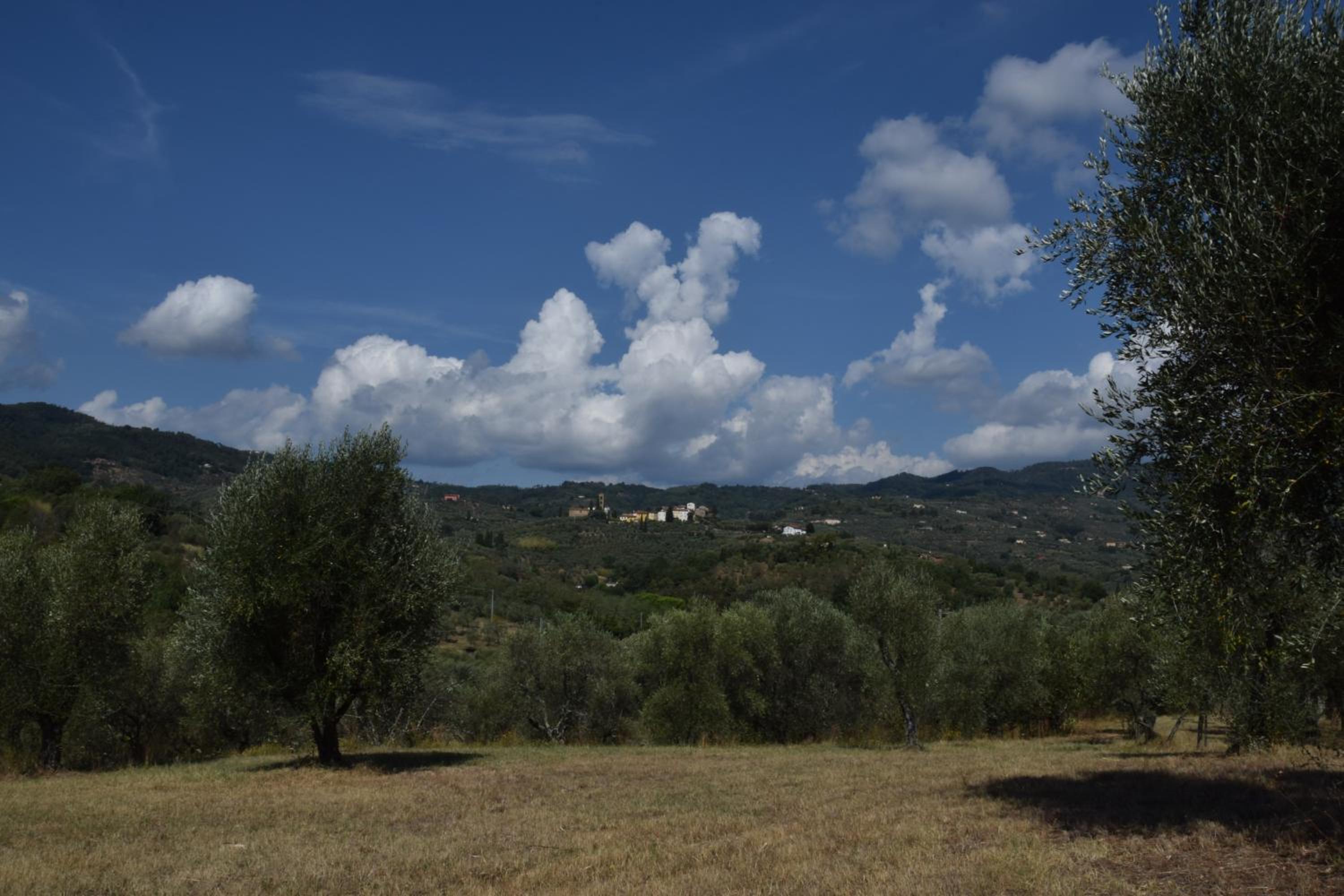 Da Poldino