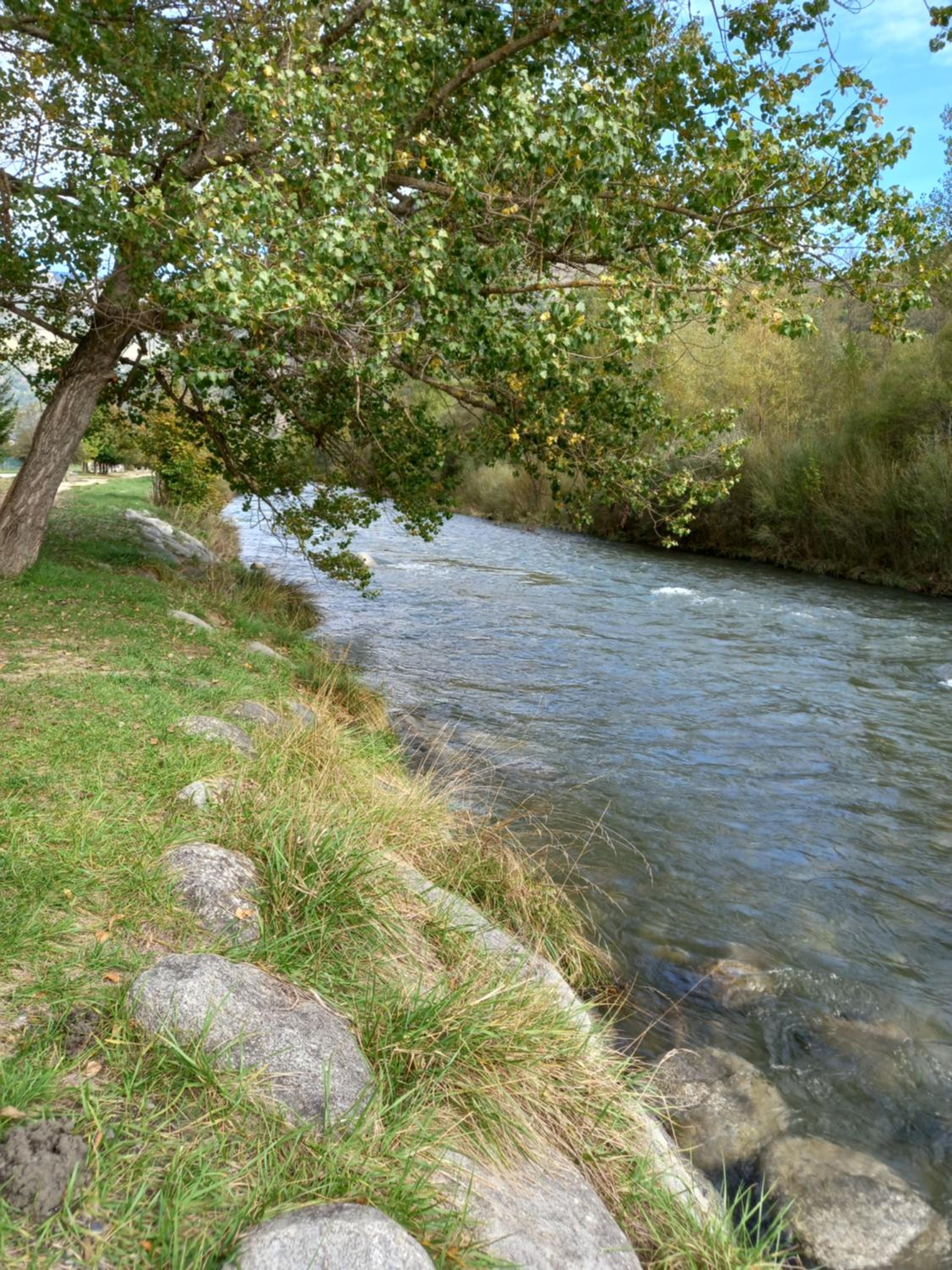 Photo 45