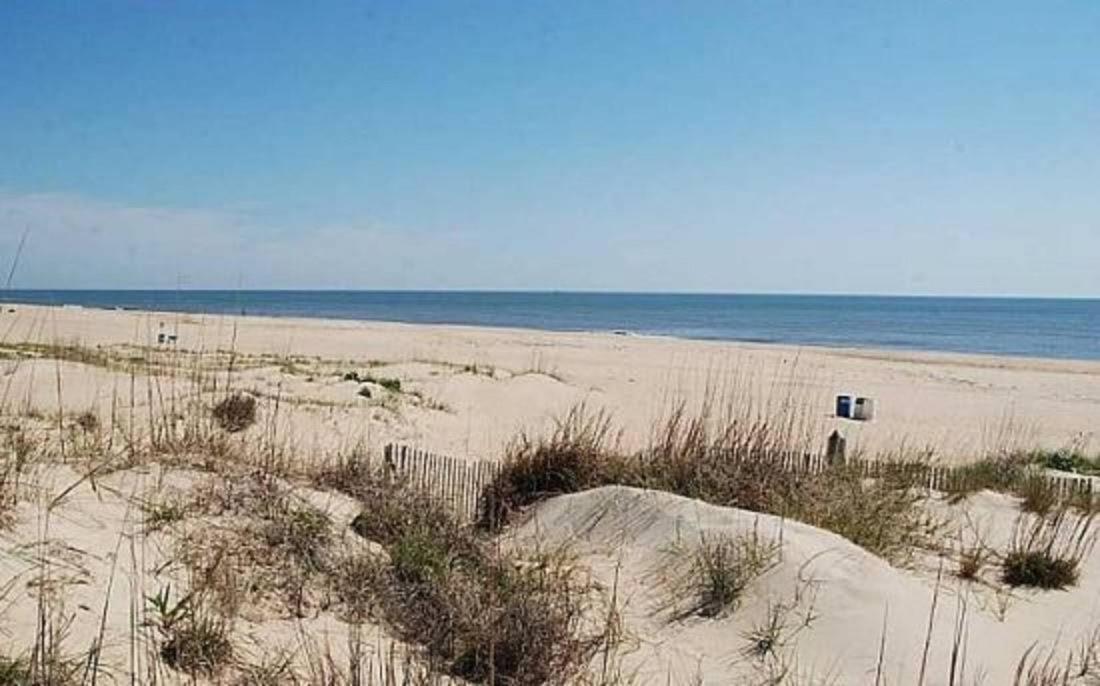 Dolphin's Den view 5