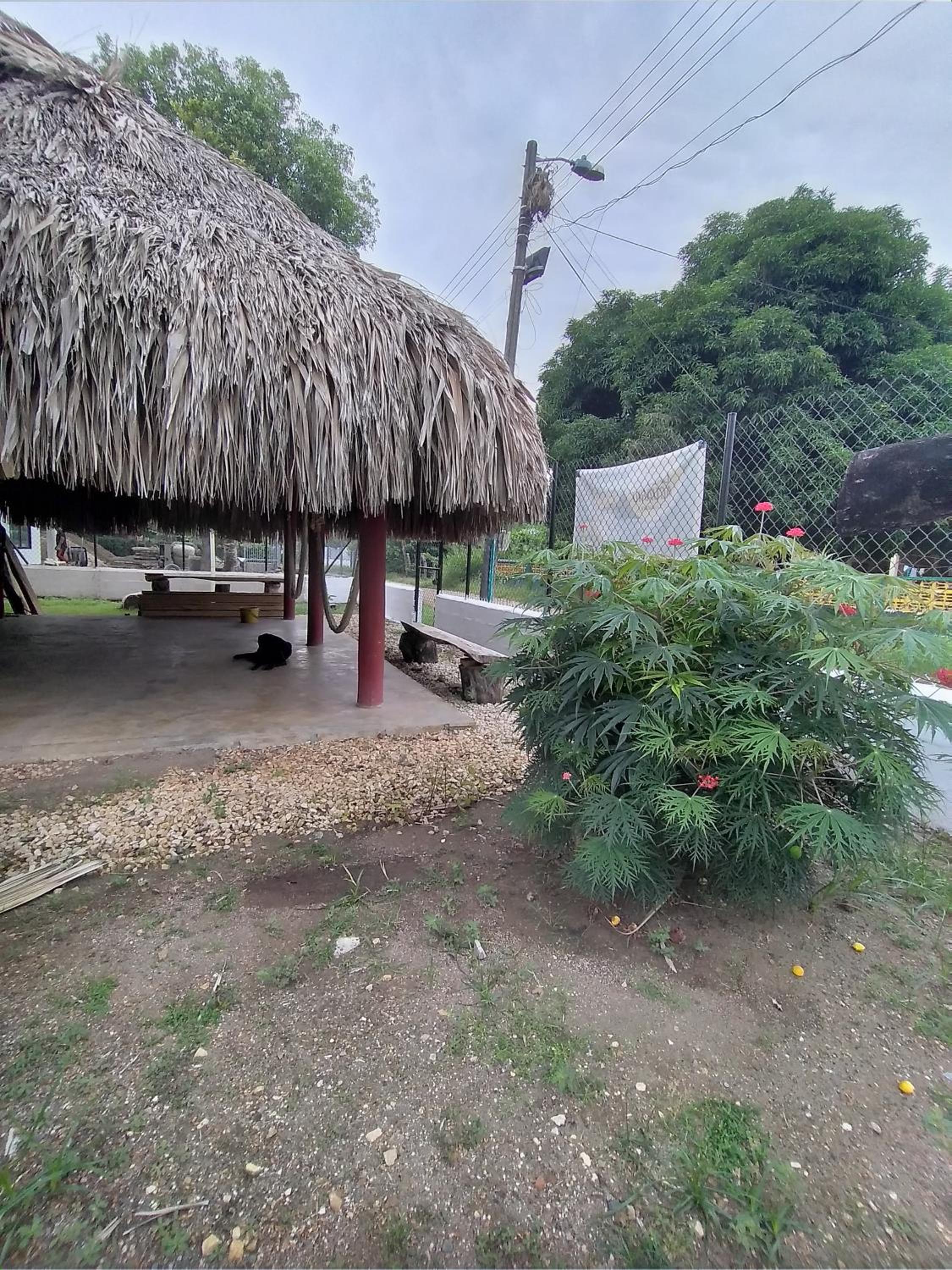 CABAÑA ACUARIO