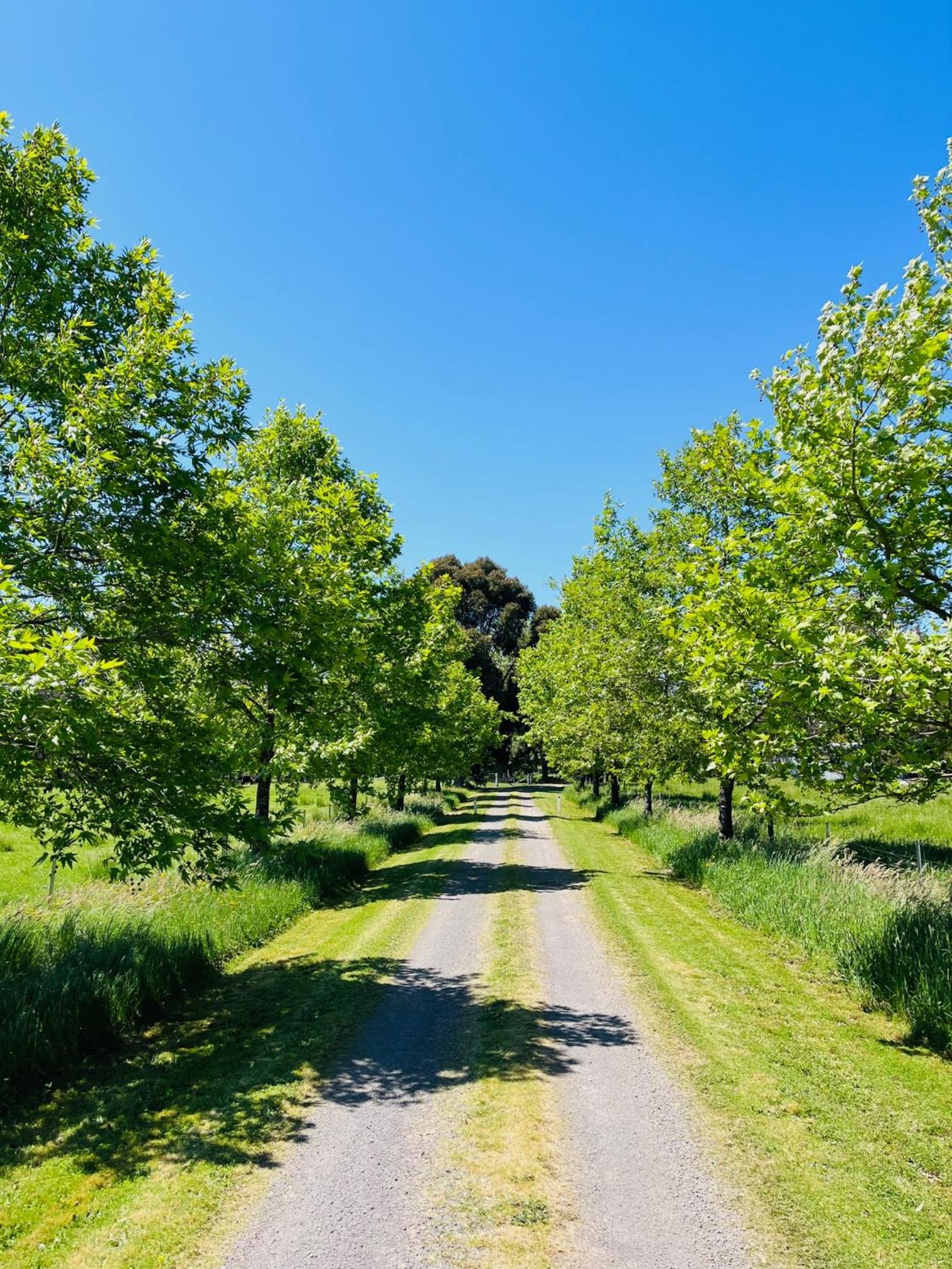 Glenisla Farm House near Benalla