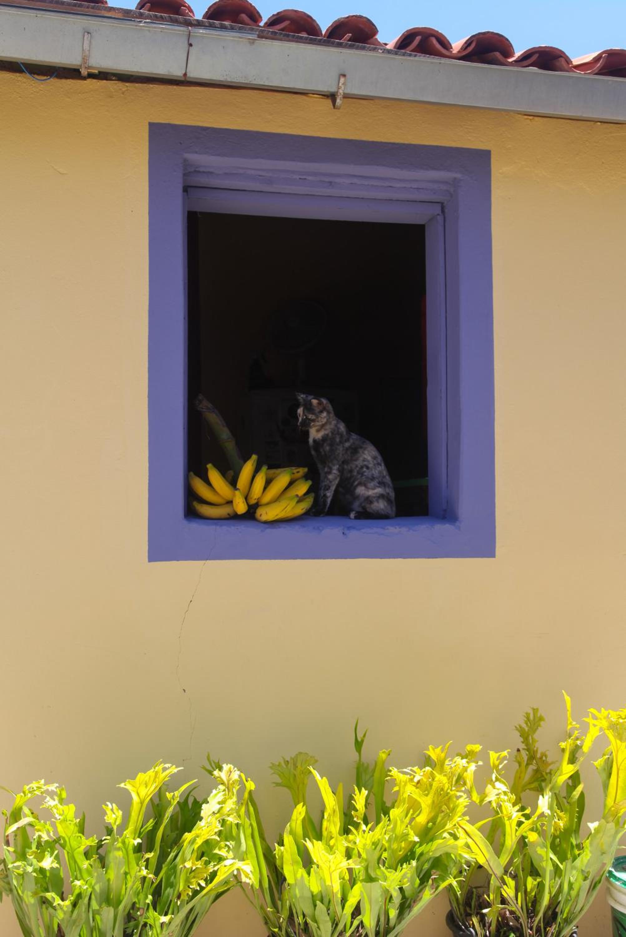Calango Hostel