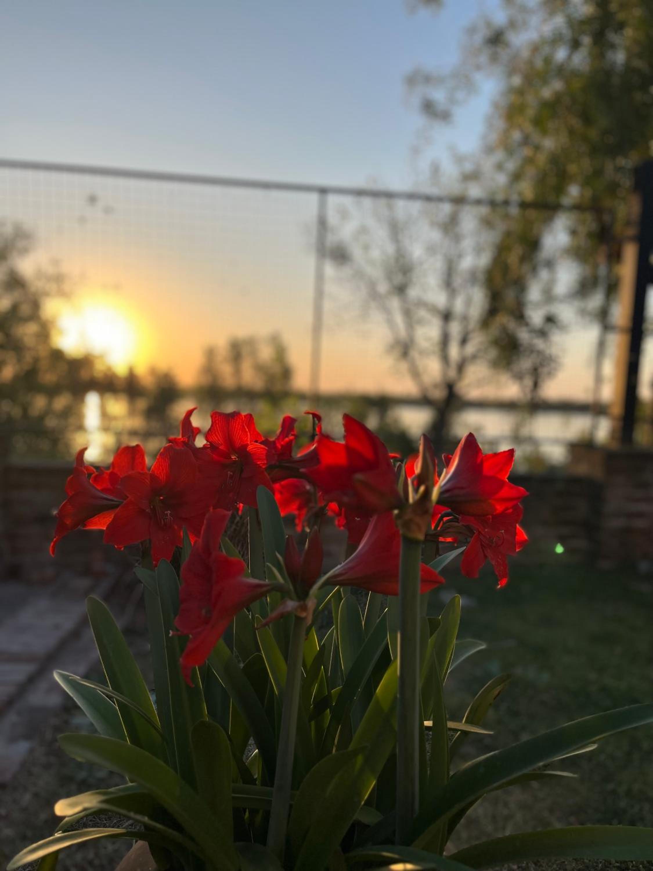 Quinta atardeceres - paraje la virgen