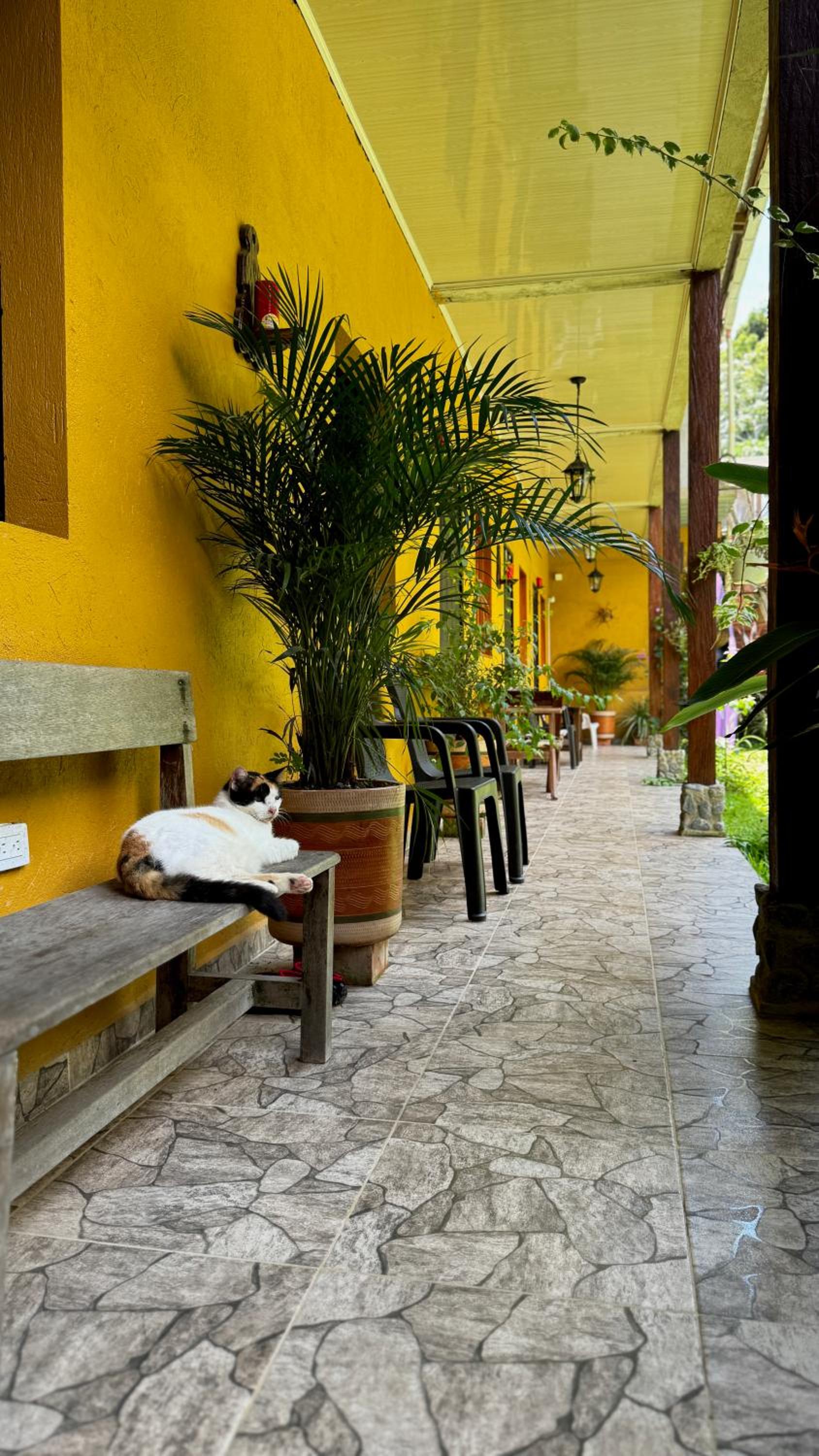 Posada Turística Rocas De Cabo Marzo