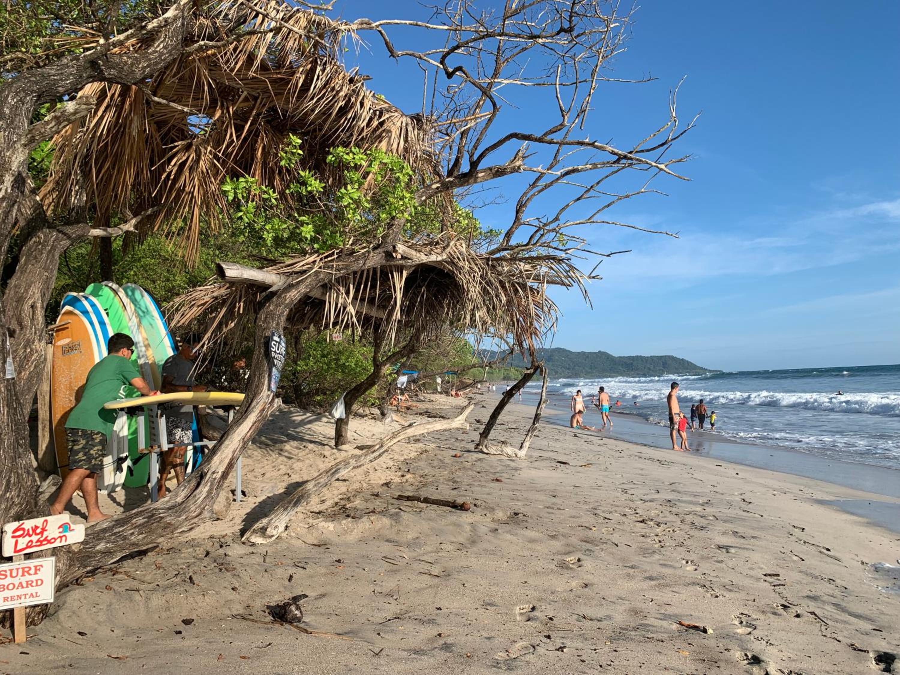 Shark Town Mal Pais