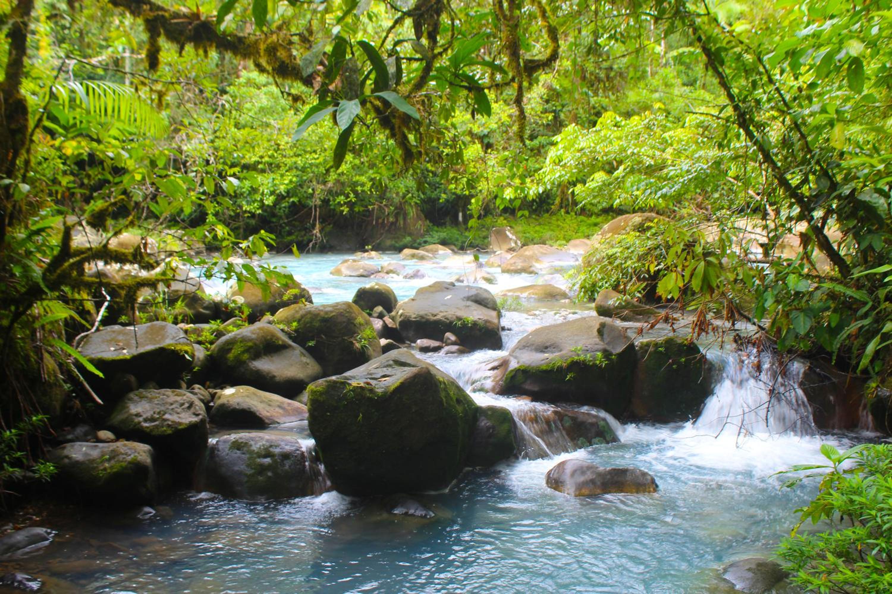 Posada Río Celeste La Amistad