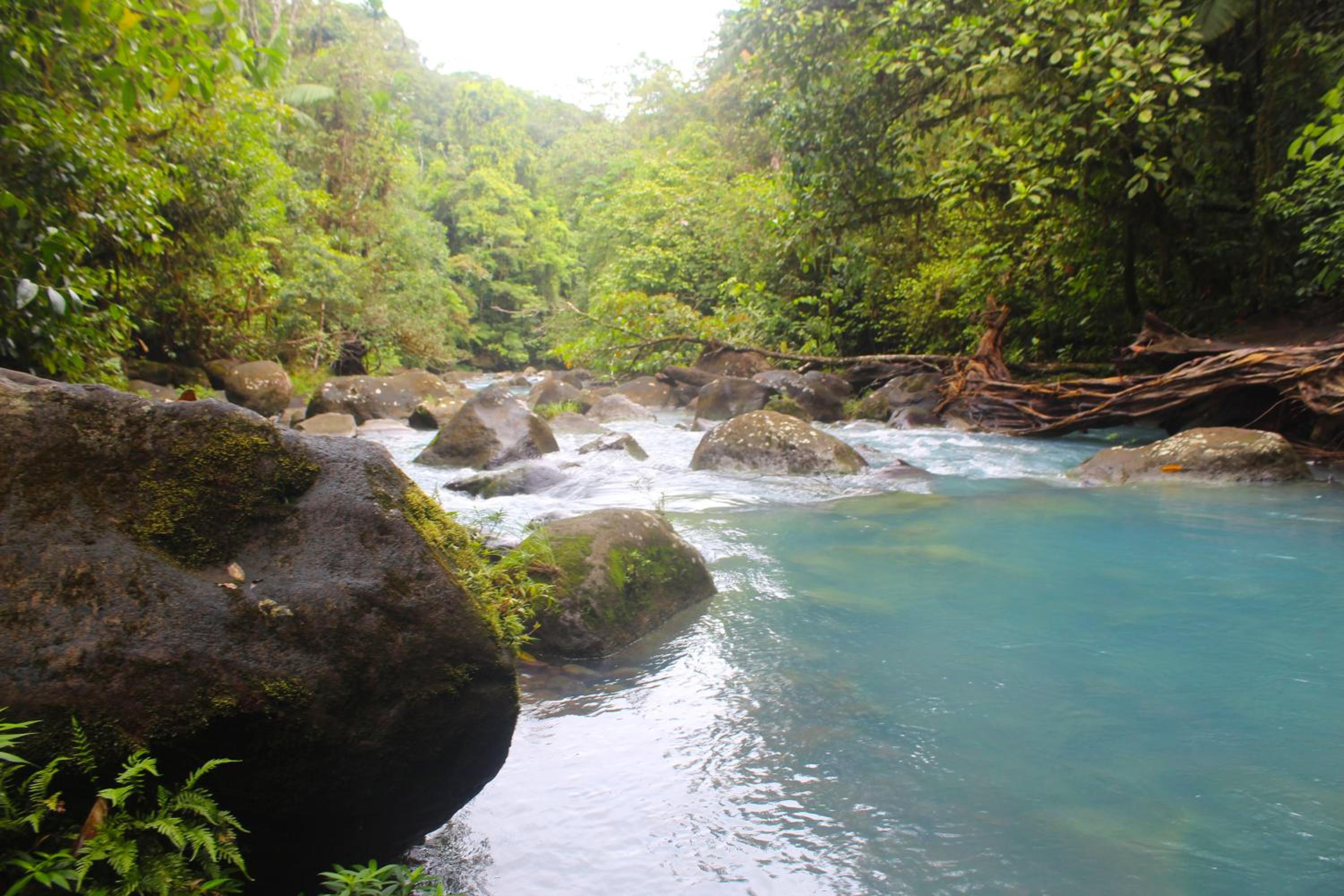 Posada Río Celeste La Amistad