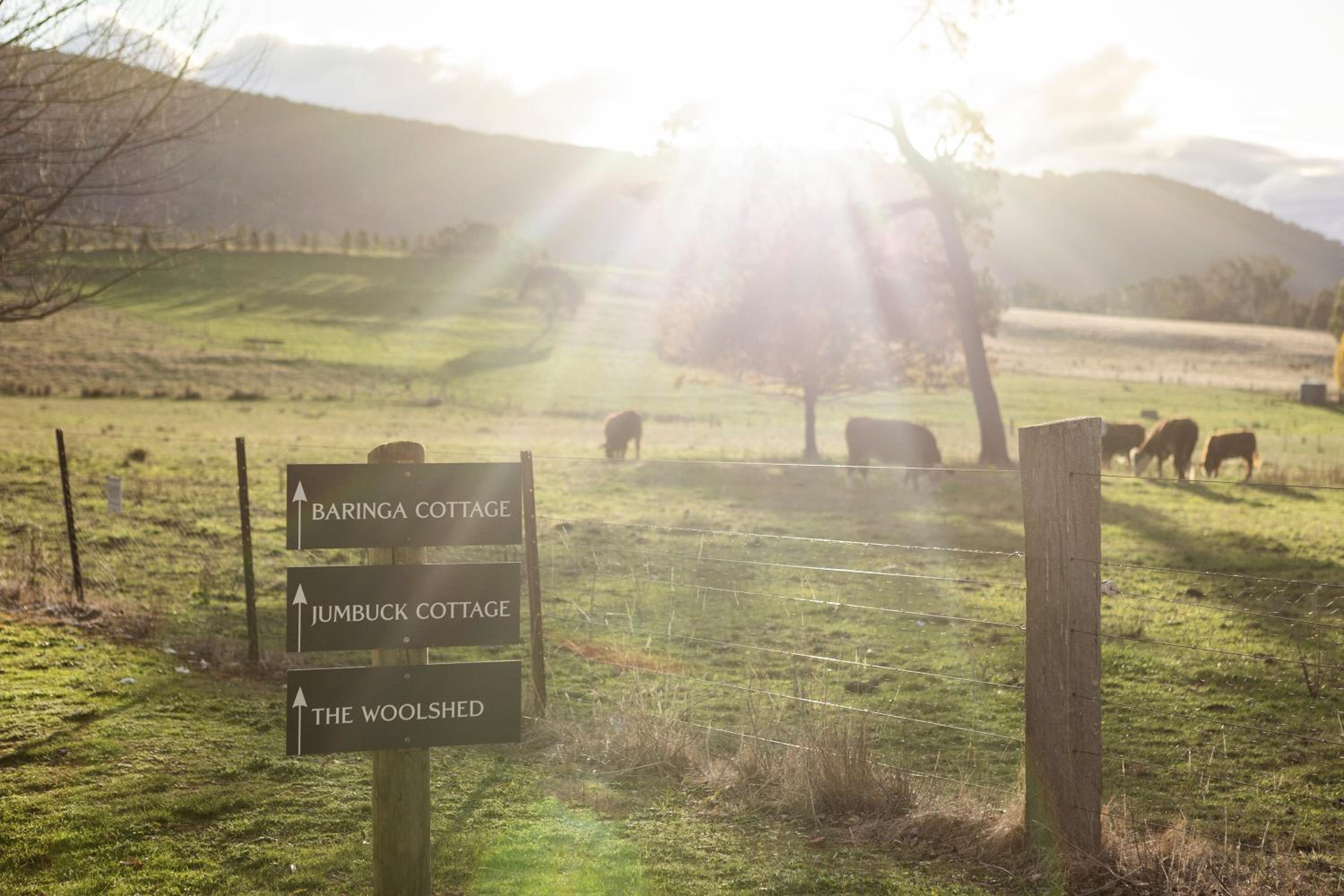 Stirling Homestead Farmstay Cottages Mansfield
