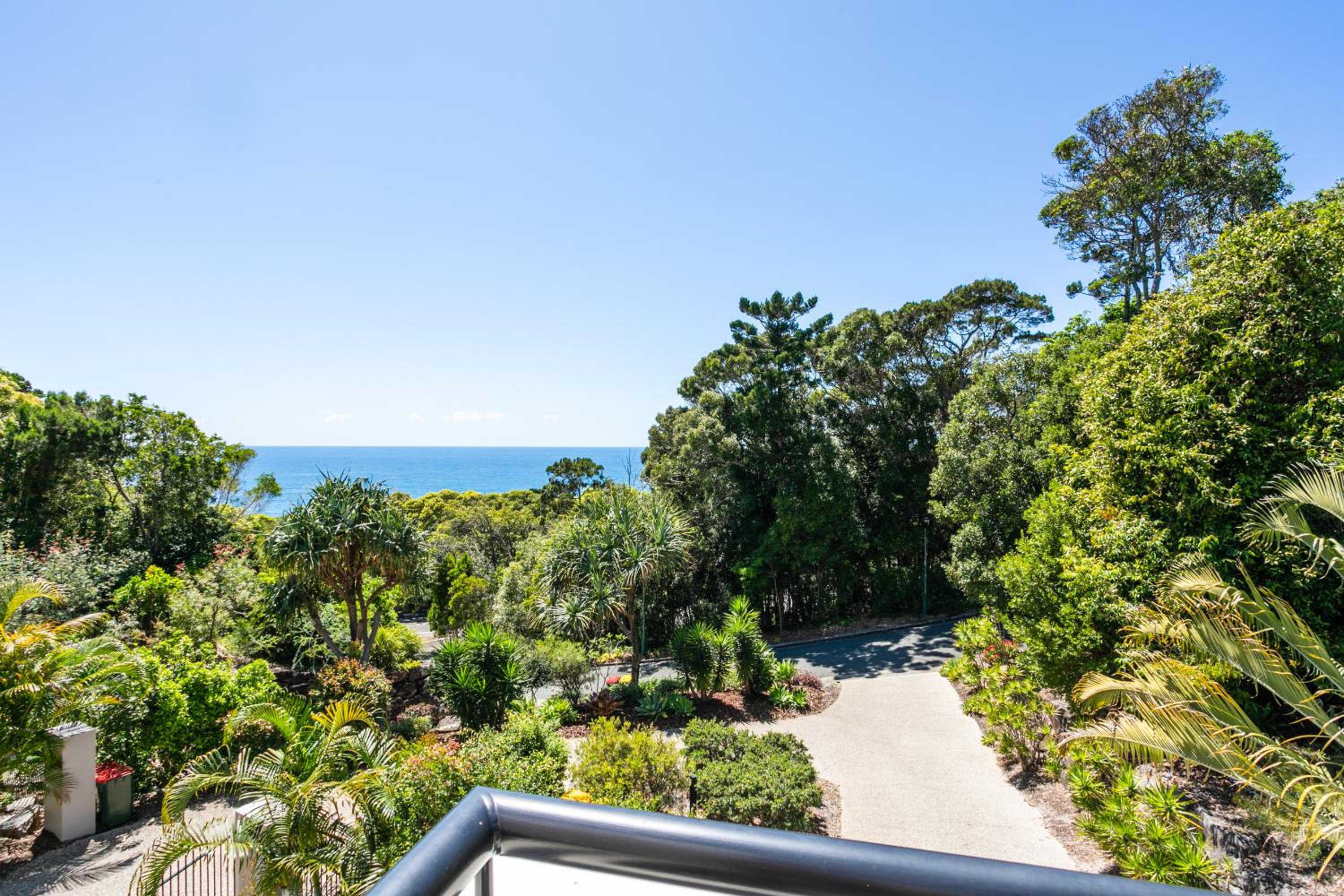 Papillon Coolum