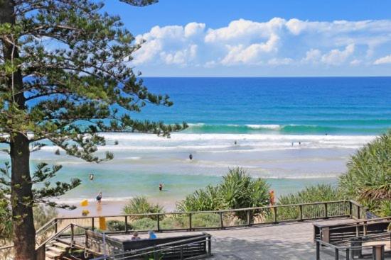 Papillon Coolum