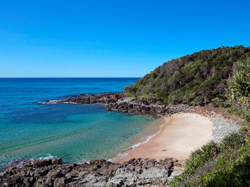 Papillon Coolum