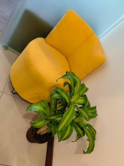 1102 Torre los Yoses Hermoso Apartamento en Barrio Escalante SIN Parqueo