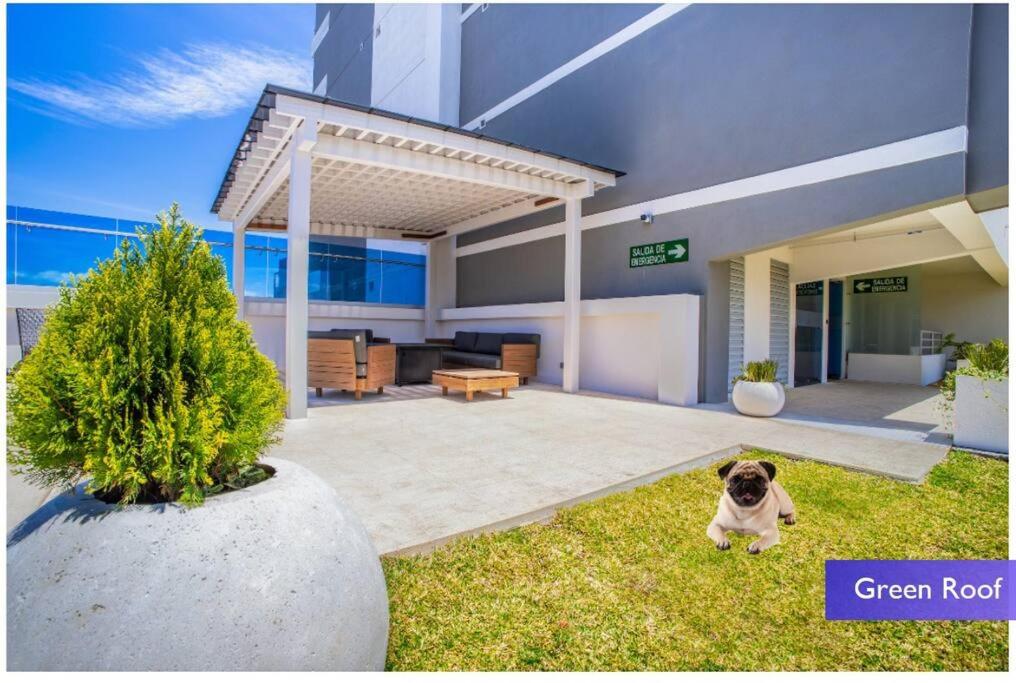1102 Torre los Yoses Hermoso Apartamento en Barrio Escalante SIN Parqueo
