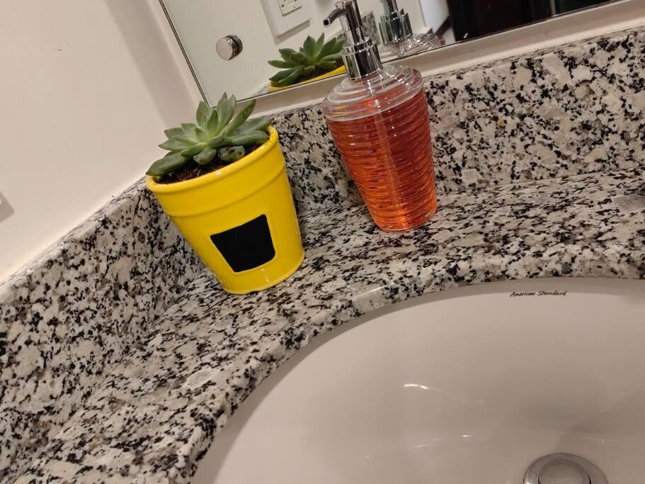 1102 Torre los Yoses Hermoso Apartamento en Barrio Escalante SIN Parqueo