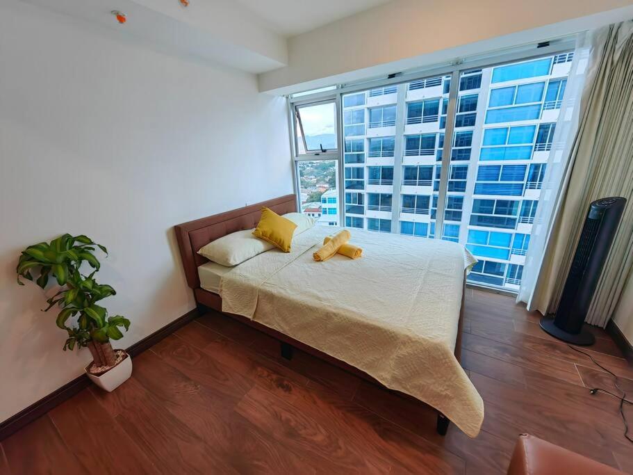1102 Torre los Yoses Hermoso Apartamento en Barrio Escalante SIN Parqueo