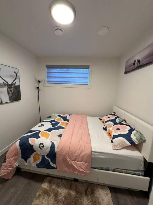 Brand new 1 Bedroom Basement Suite. Wi-Fi,Netflix
