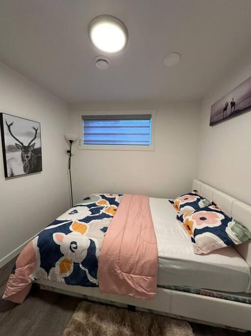 Brand new 1 Bedroom Basement Suite. Wi-Fi,Netflix