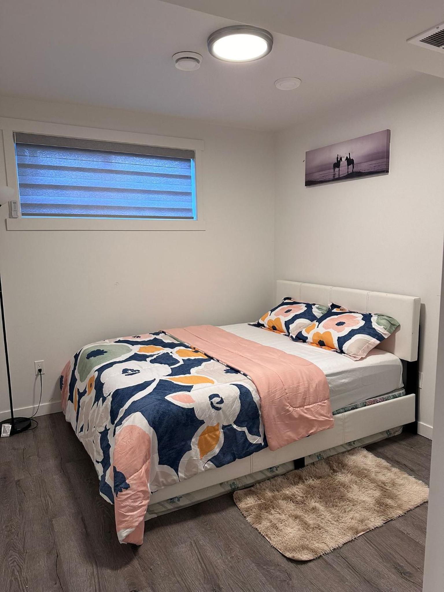 Brand new 1 Bedroom Basement Suite. Wi-Fi,Netflix