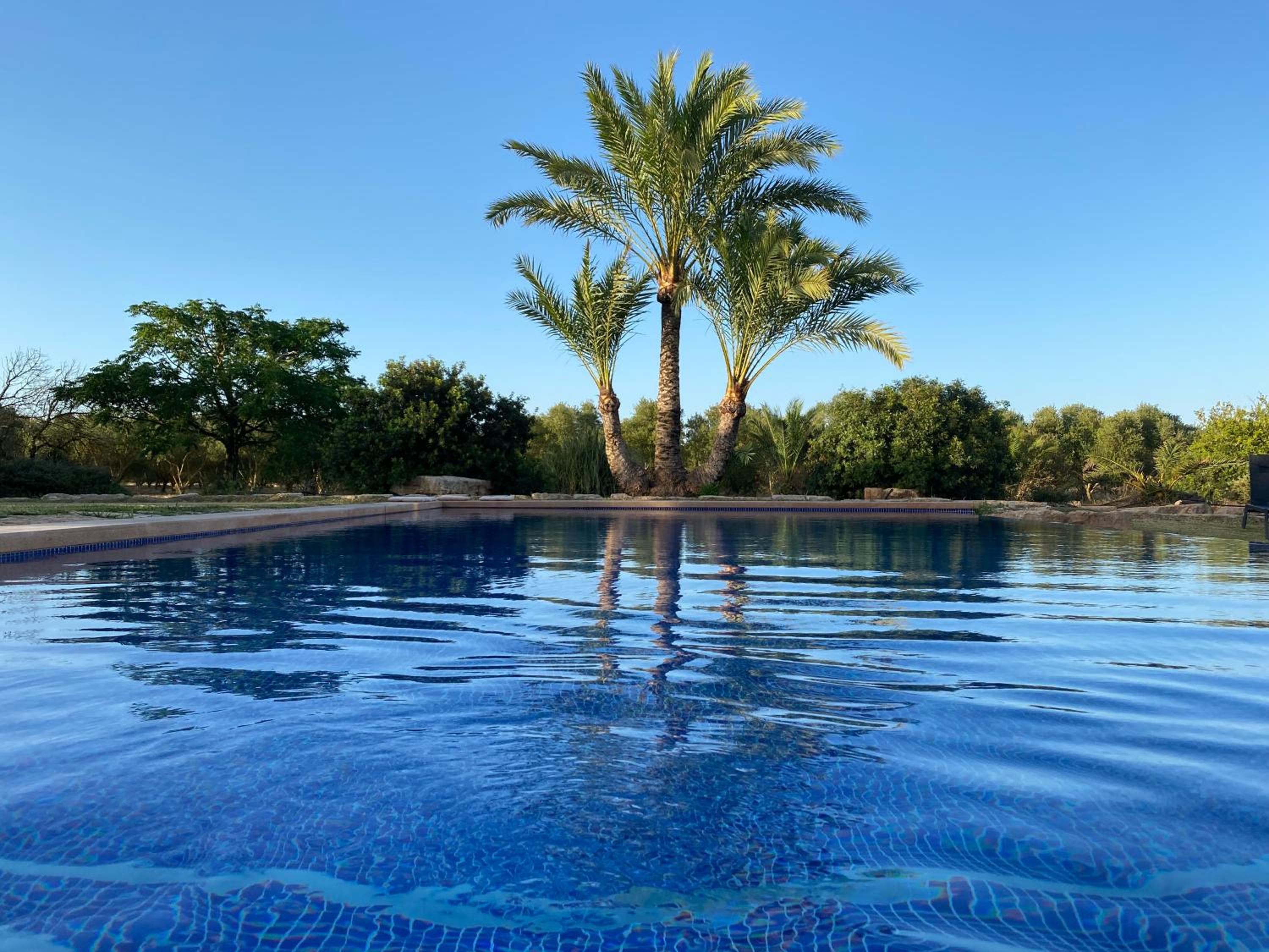 Mallorca Finca Gallo Negro Santanyi Campos gesamte Unterkunft Social Media