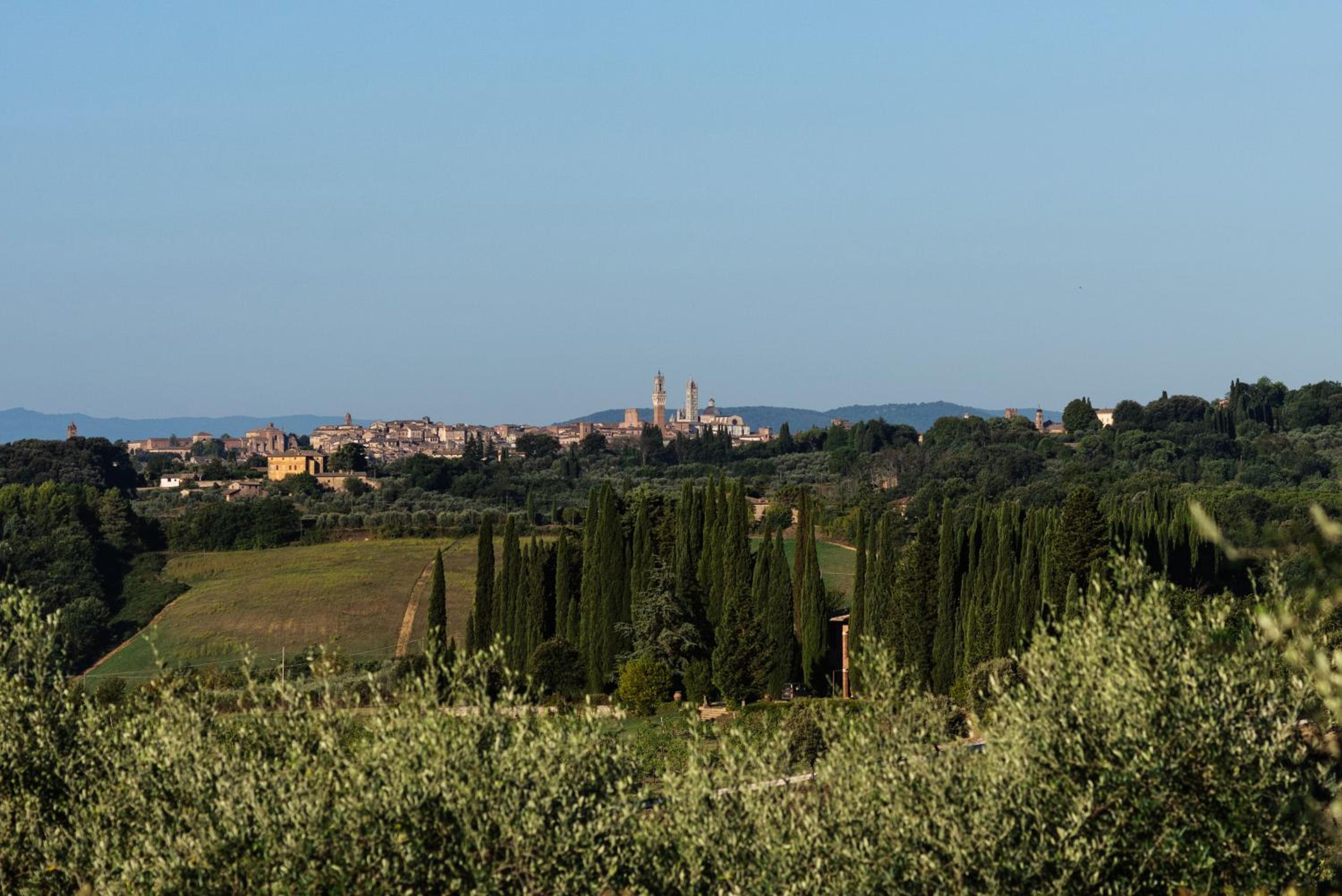 Capanna photo 4