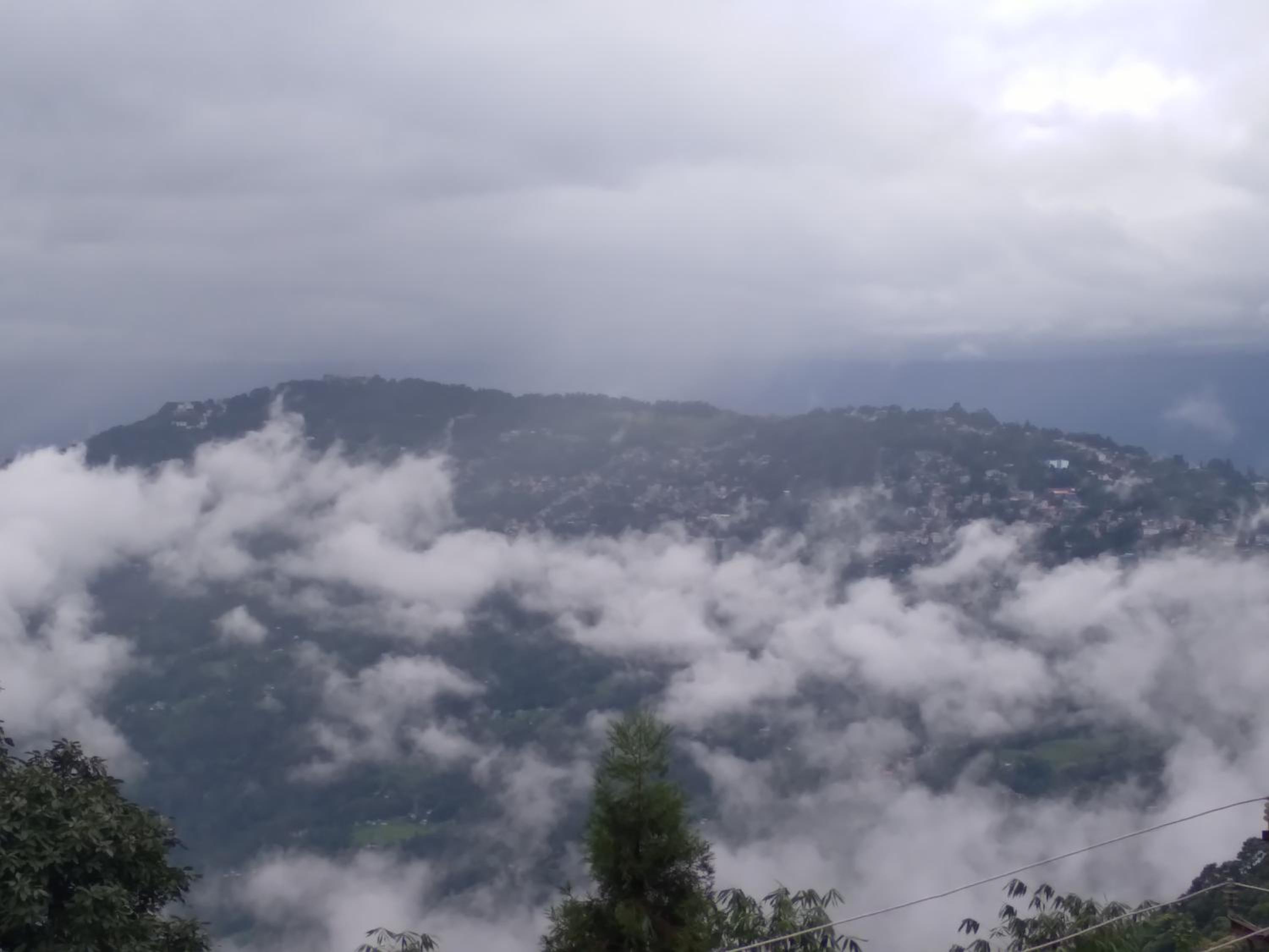 Holiday Homestay Kalimpong