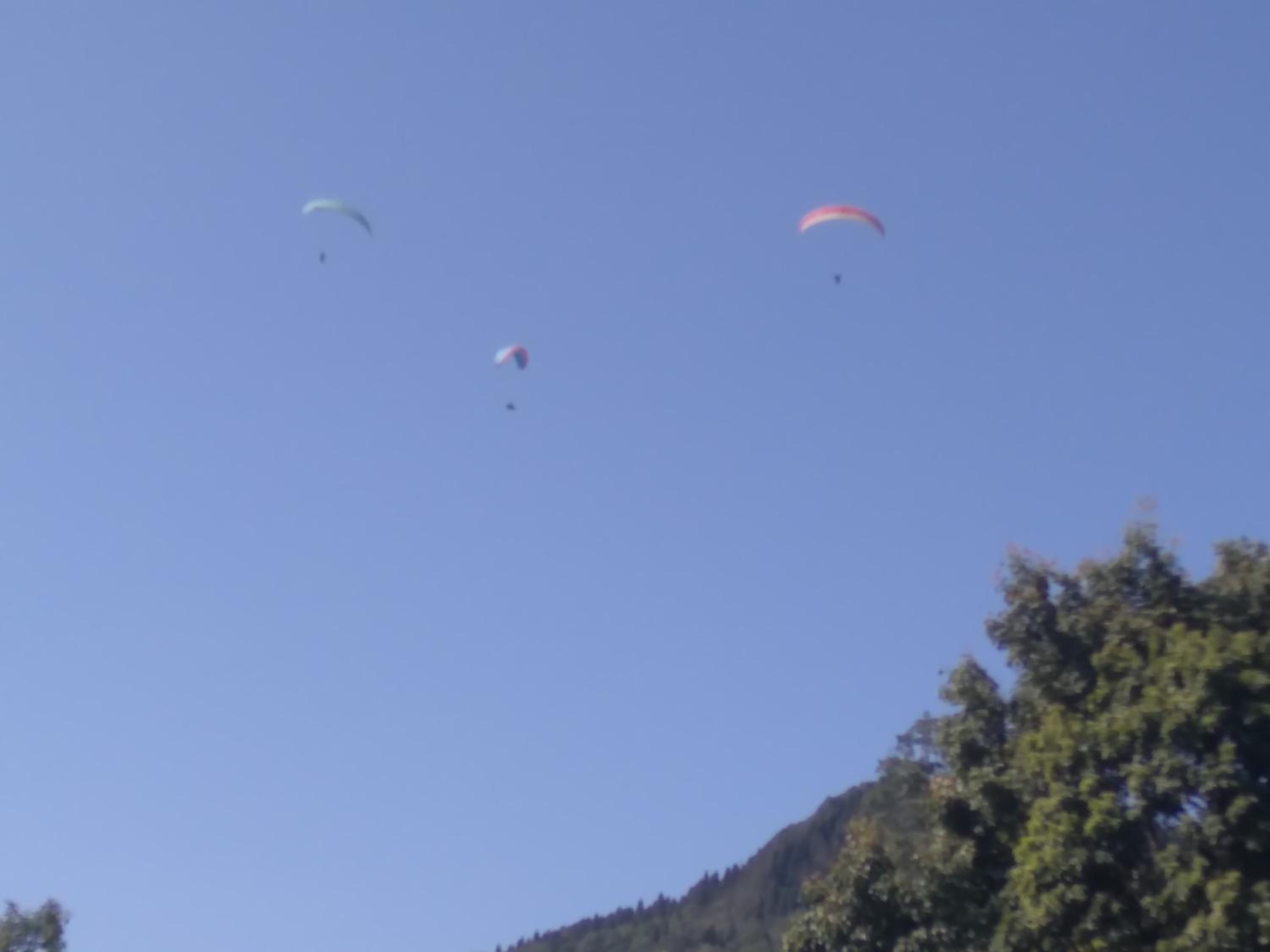 Holiday Homestay Kalimpong