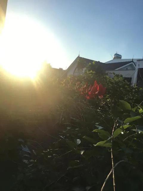 Lu Peaceful Homestay