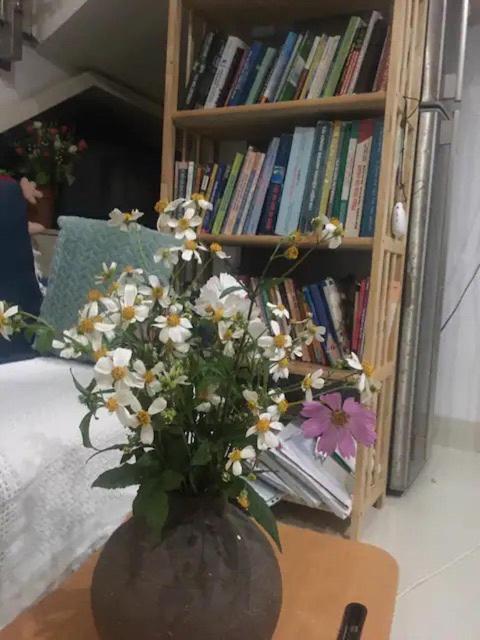 Lu Peaceful Homestay