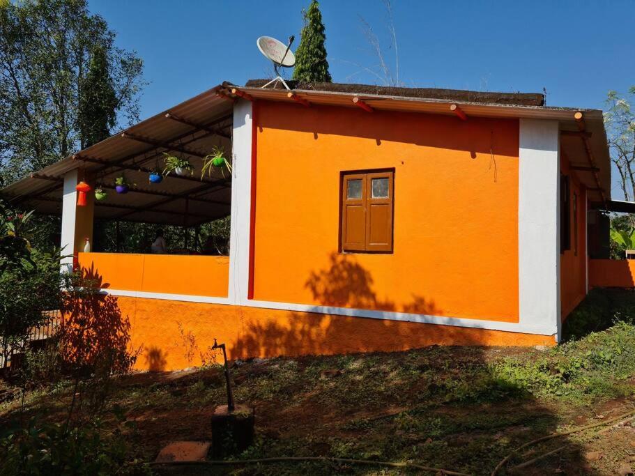 Fully AC 3bhk, Swimming pool, in middle of Nature view 2