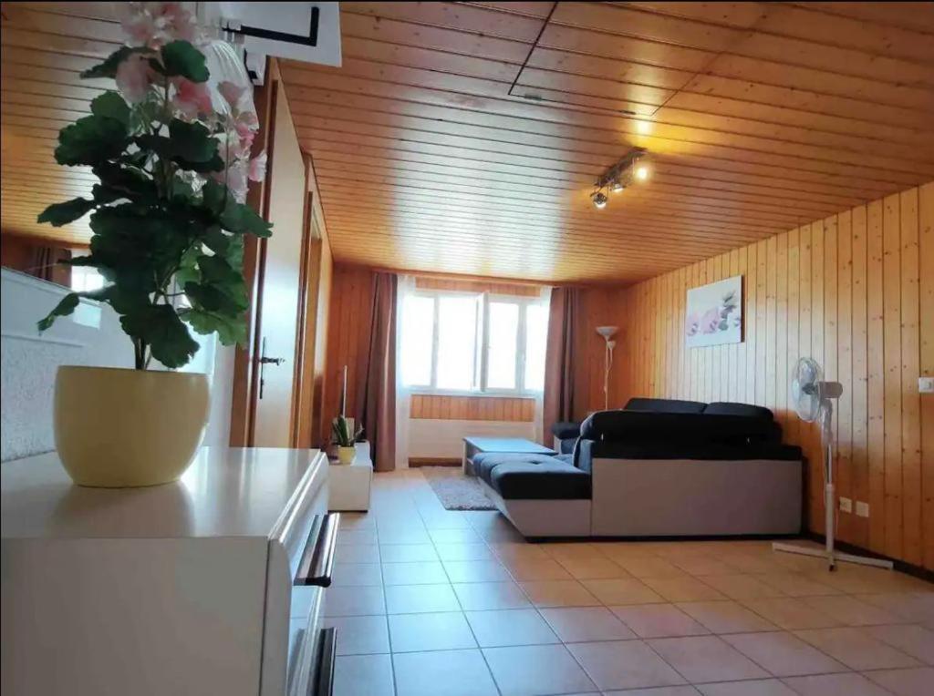 Swiss Apartment Thunersee