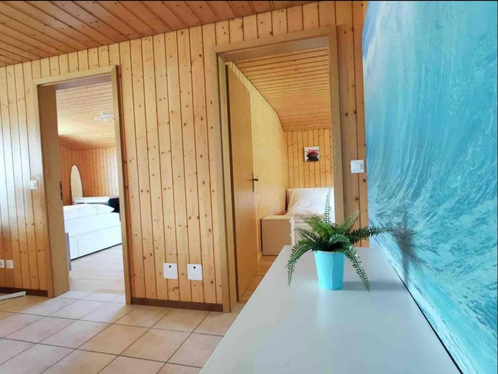 Swiss Apartment Thunersee