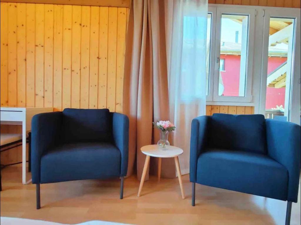 Swiss Apartment Thunersee
