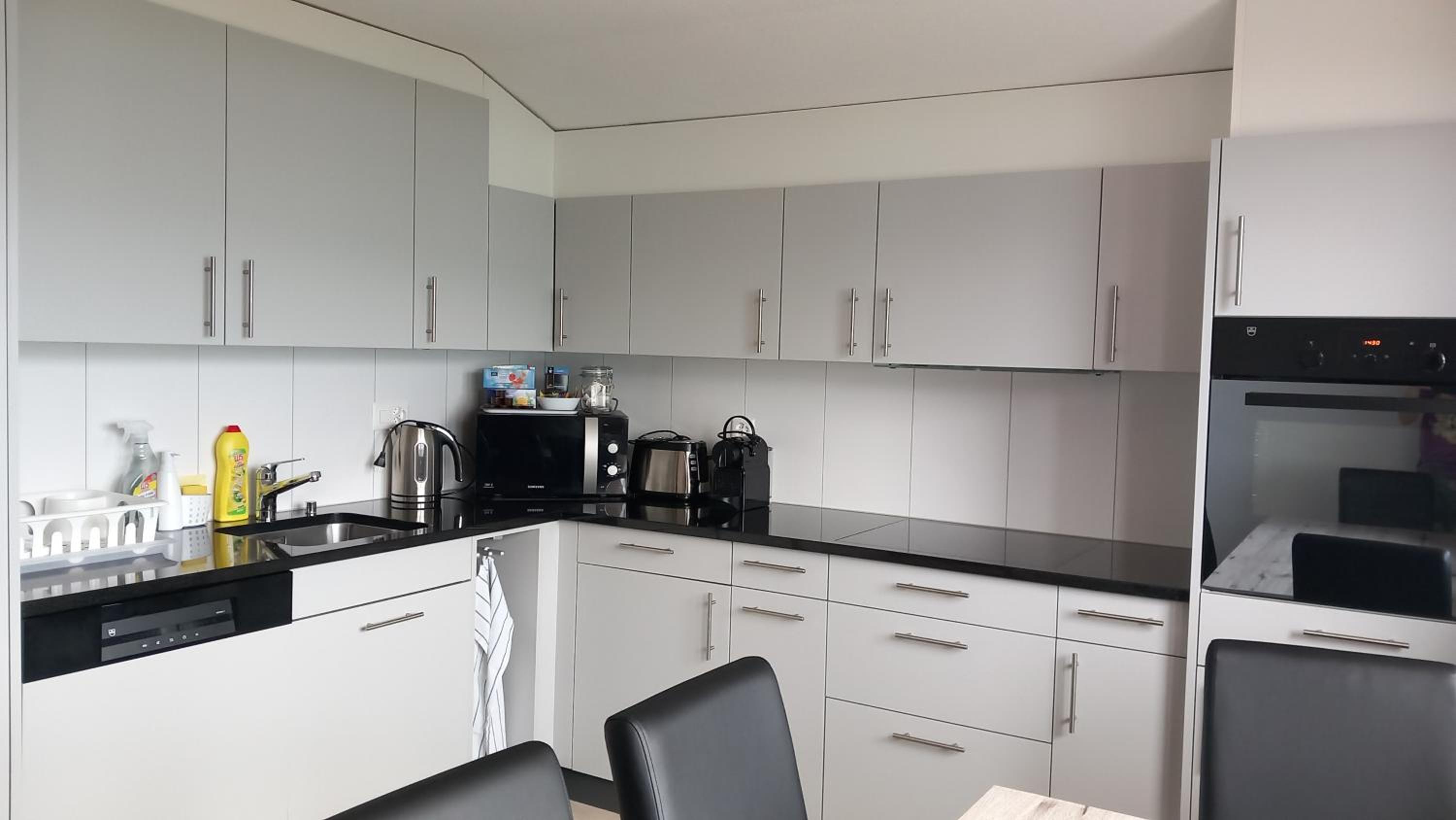 Swiss Apartment Thunersee
