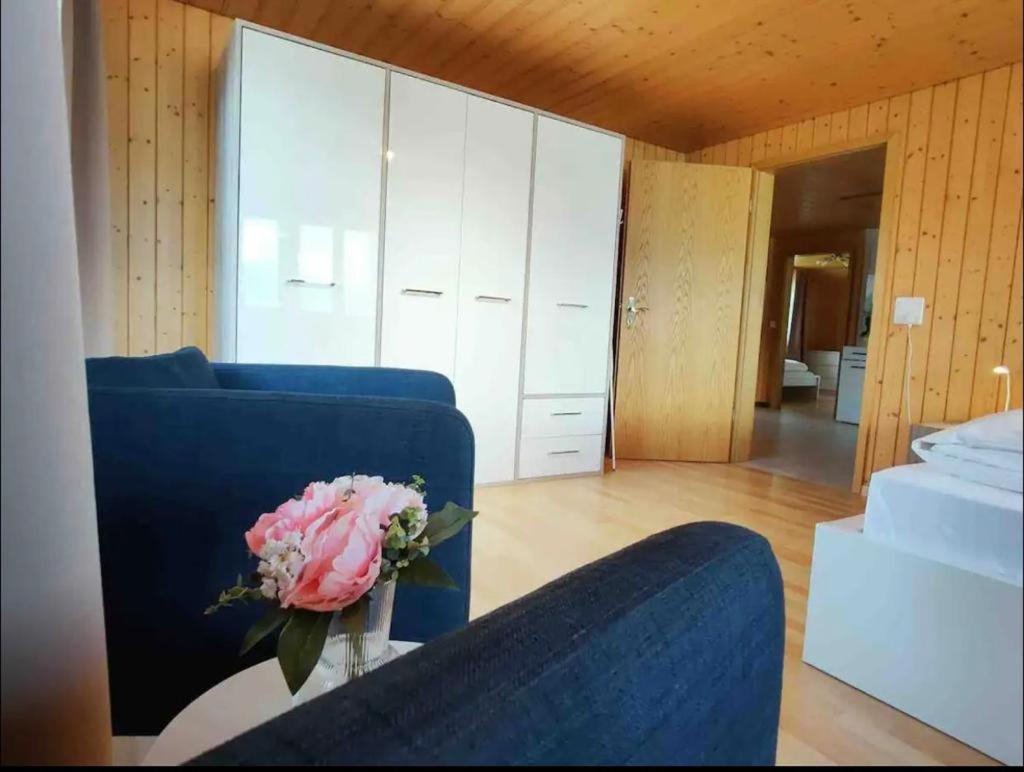 Swiss Apartment Thunersee