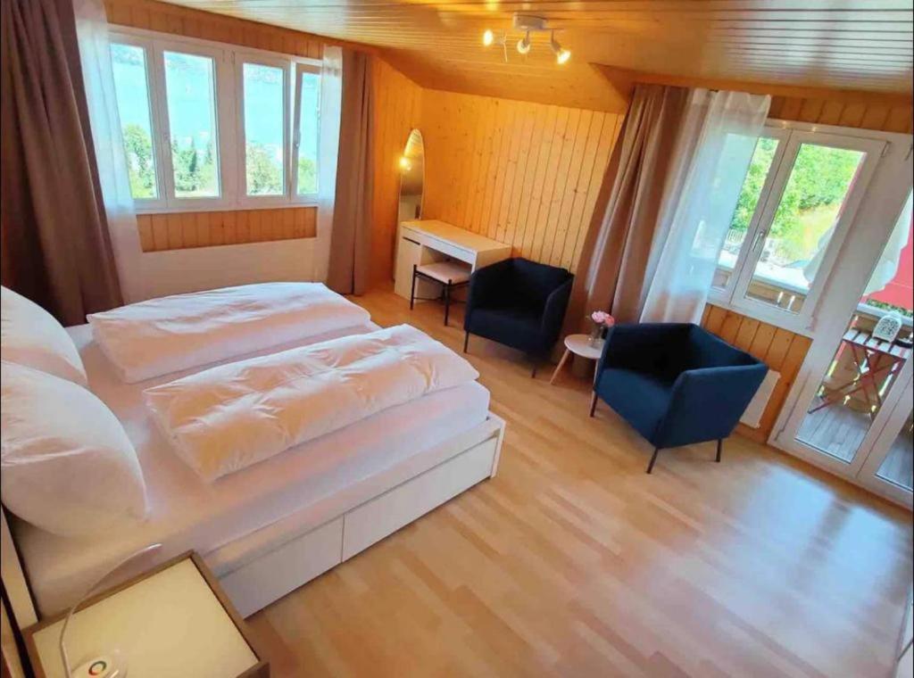 Swiss Apartment Thunersee