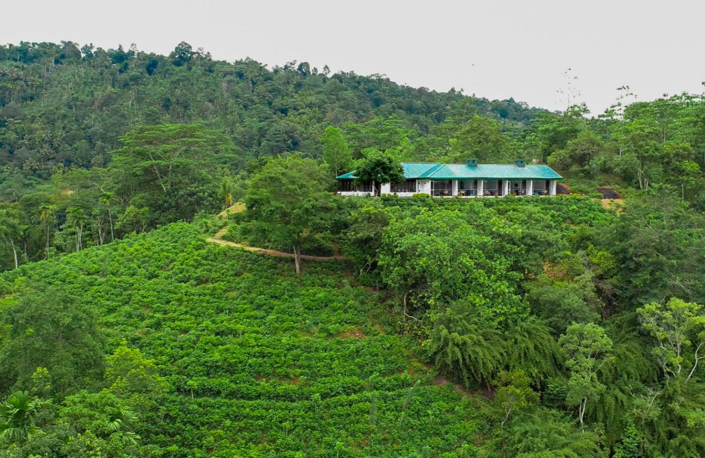 Kobbekaduwa Bungalow