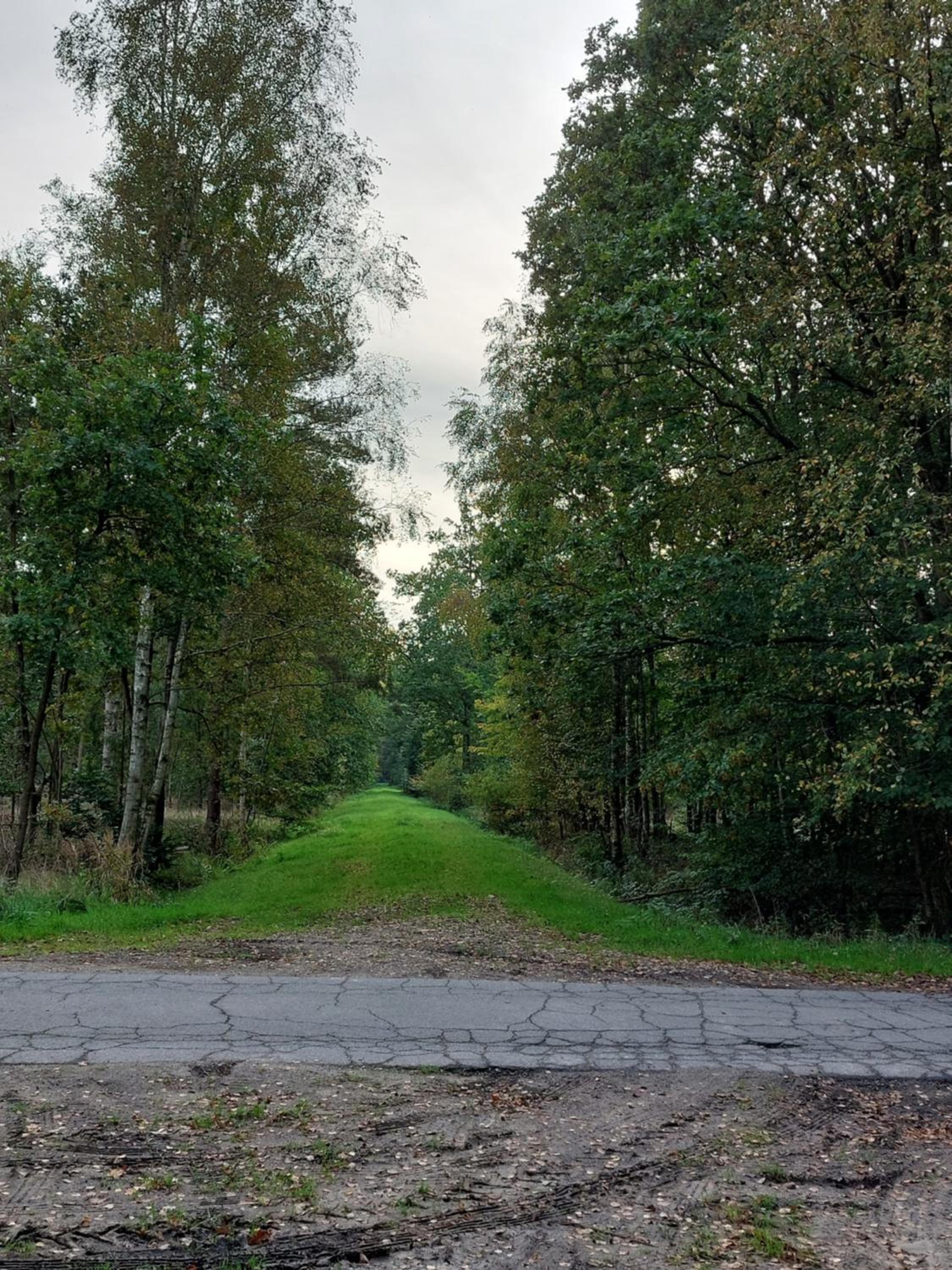 Ferienwohnung am Drömling Südheide - Gerda
