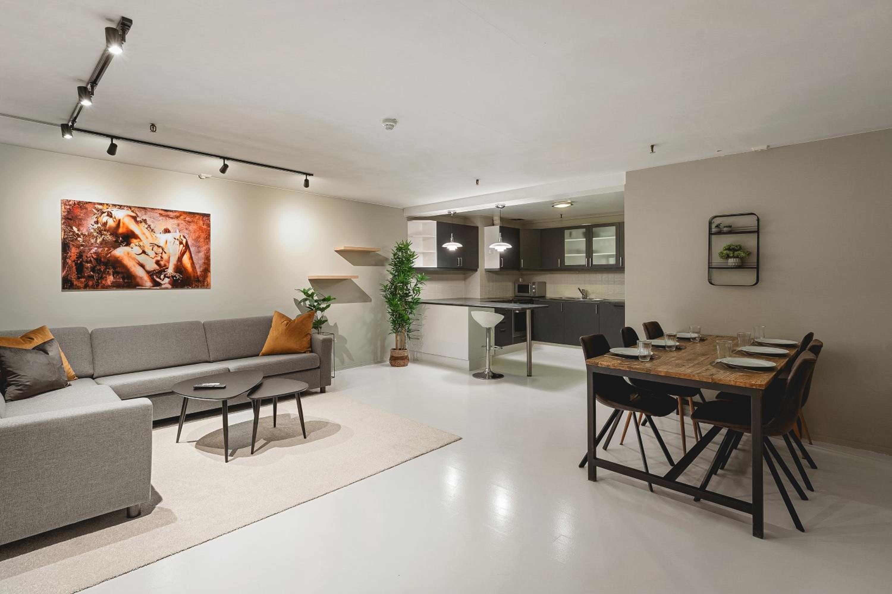 ARCTIC HOMES - Downtown Penthouse view 3