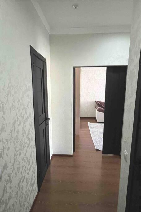 Apartament Manasa
