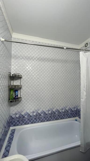 Apartament Manasa
