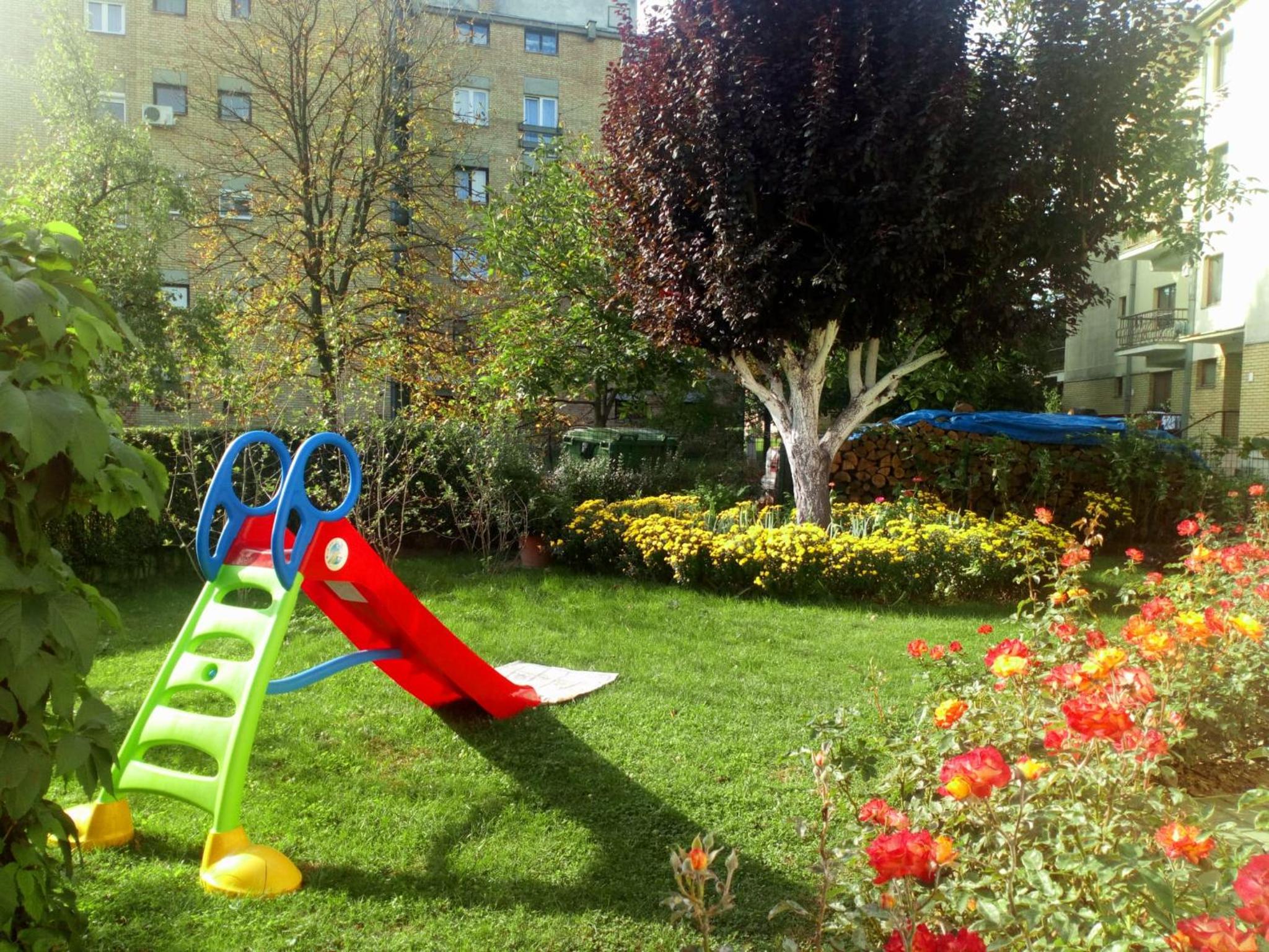 Photo 43