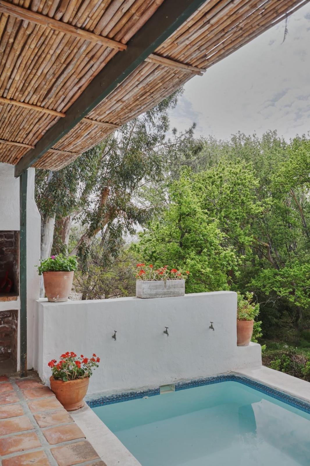 Little Willow Brooke - Image 2