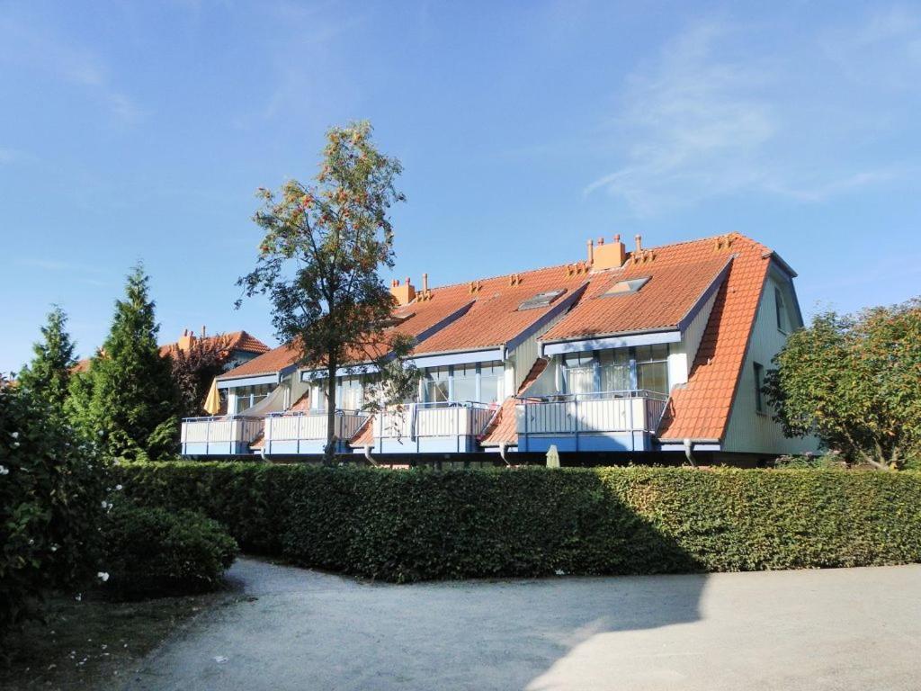 Papillon Whg 9 7, Silbermöwe