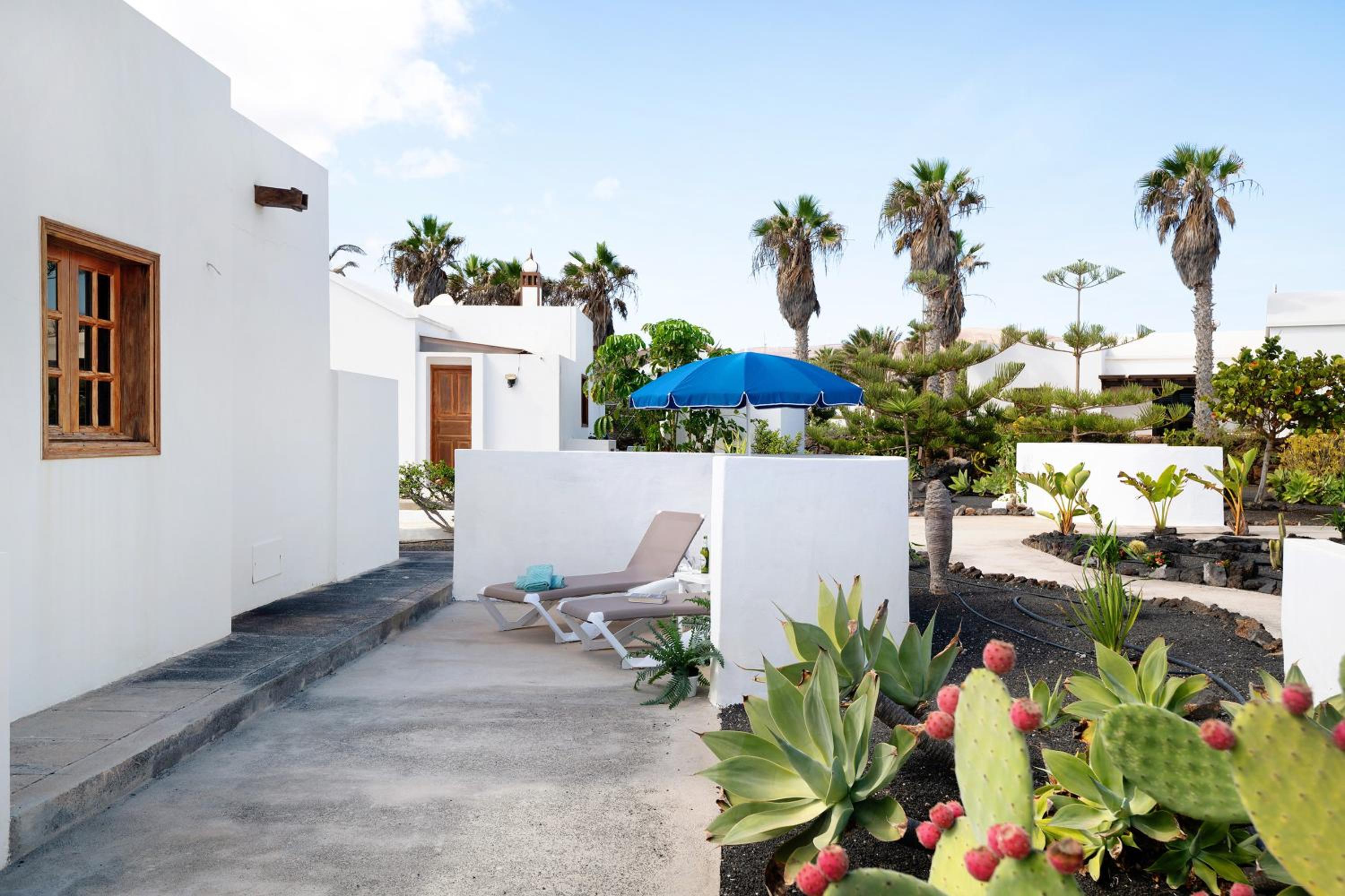 Casa Aloe