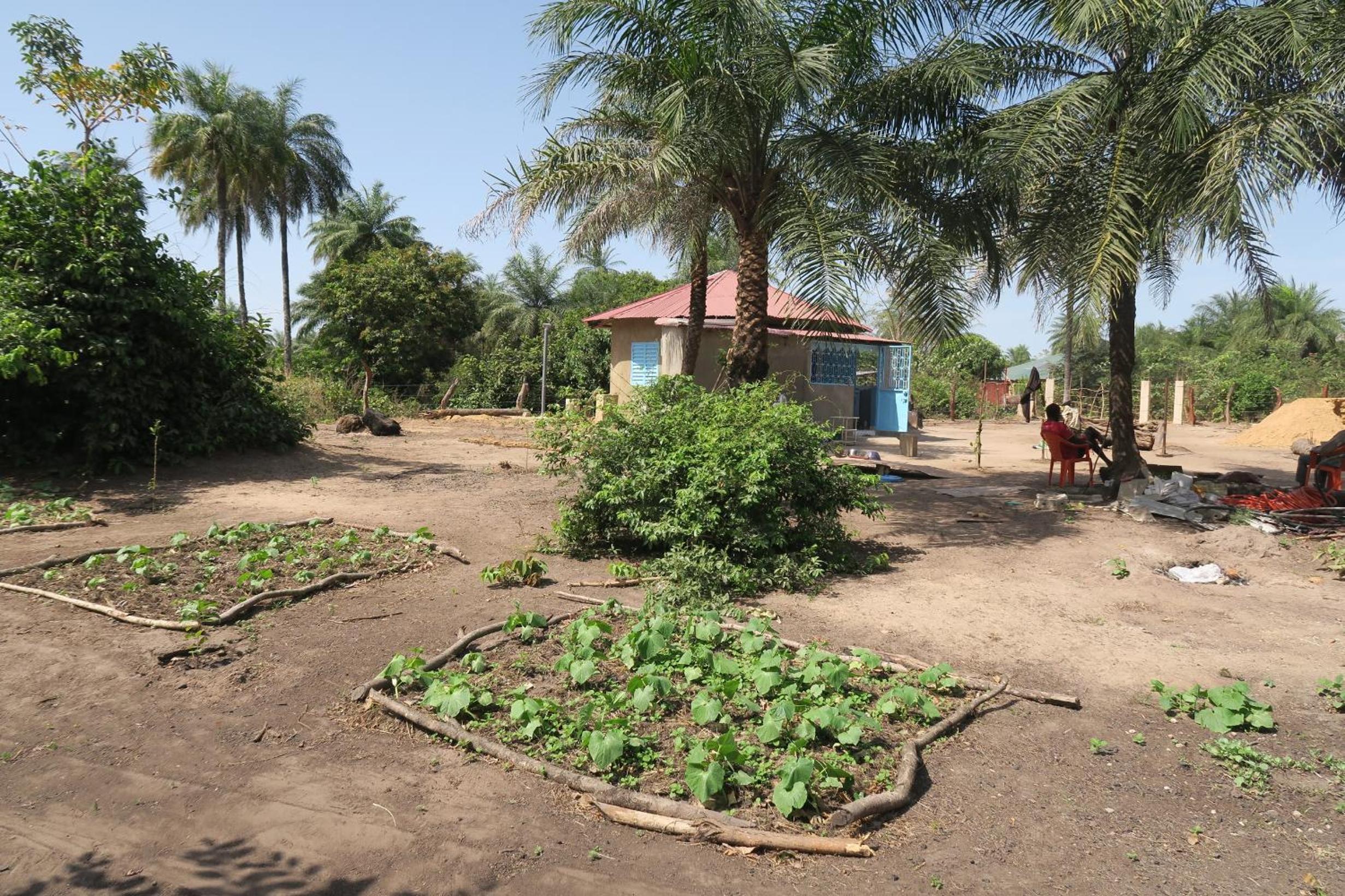 Chez Fatou et Saladin view 4