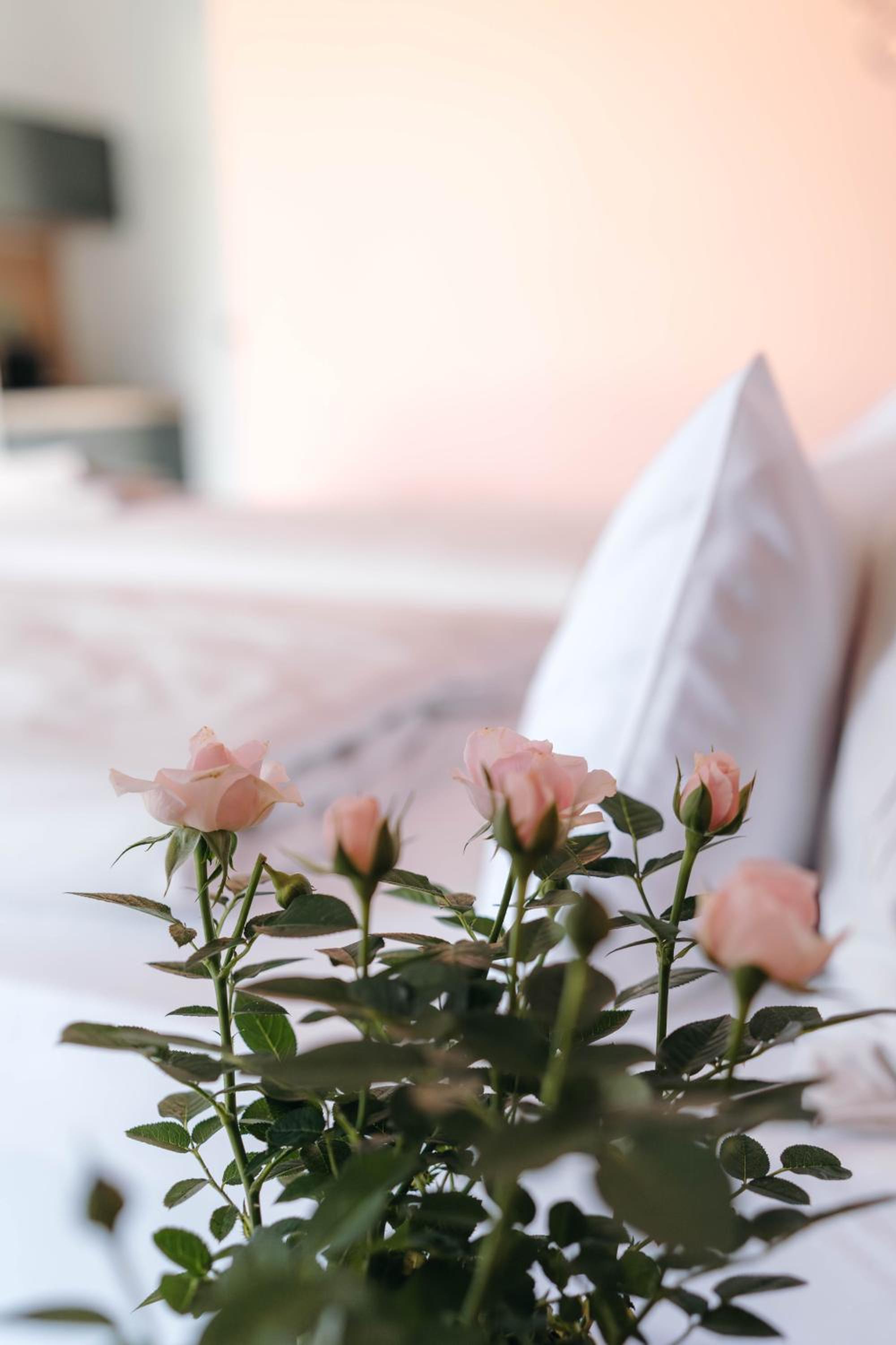 Pension Blumenwiese - Mitten im Thermenland